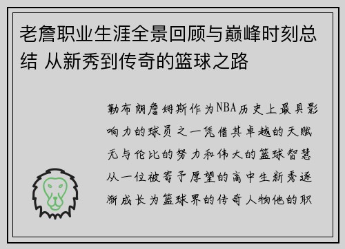 老詹职业生涯全景回顾与巅峰时刻总结 从新秀到传奇的篮球之路