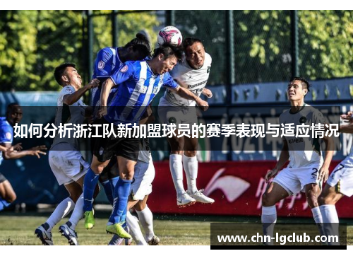 如何分析浙江队新加盟球员的赛季表现与适应情况