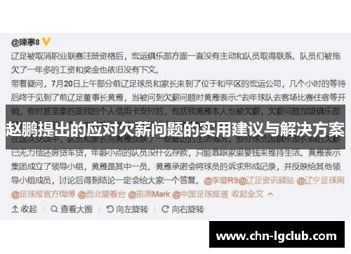 赵鹏提出的应对欠薪问题的实用建议与解决方案