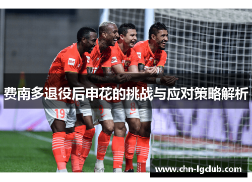 费南多退役后申花的挑战与应对策略解析