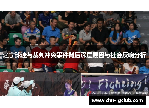 辽宁球迷与裁判冲突事件背后深层原因与社会反响分析 辽宁球迷与裁判冲突事件背后深层原因与社会反响分析