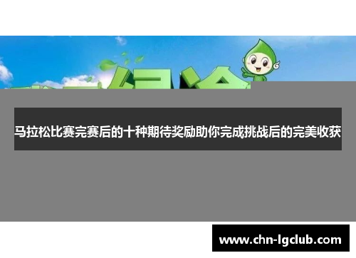 马拉松比赛完赛后的十种期待奖励助你完成挑战后的完美收获