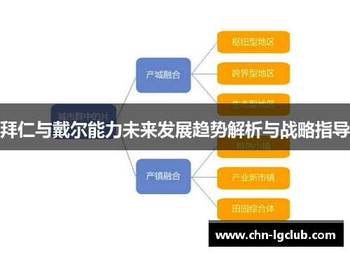 拜仁与戴尔能力未来发展趋势解析与战略指导