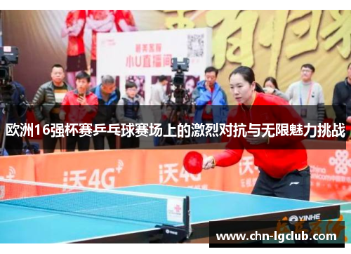 欧洲16强杯赛乒乓球赛场上的激烈对抗与无限魅力挑战