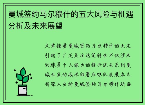曼城签约马尔穆什的五大风险与机遇分析及未来展望